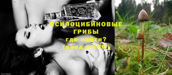 альфа пвп Надым