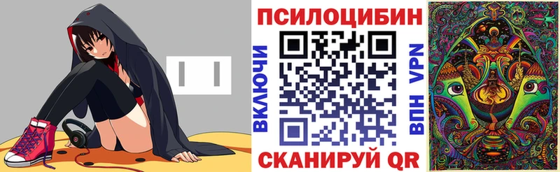 Псилоцибиновые грибы Cubensis  цены наркотик  Темников 